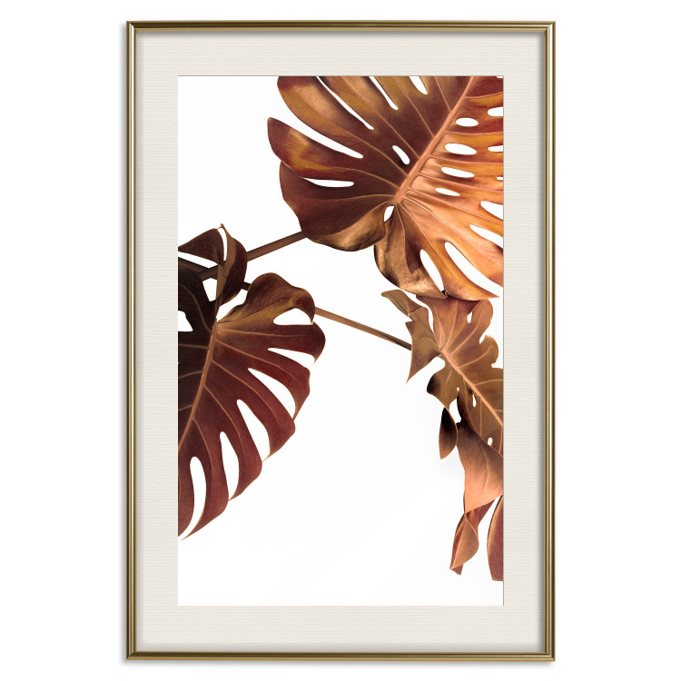 Wall Poster Golden Garden - tropical leaves in copper hue on white background 123770 additionalImage 19