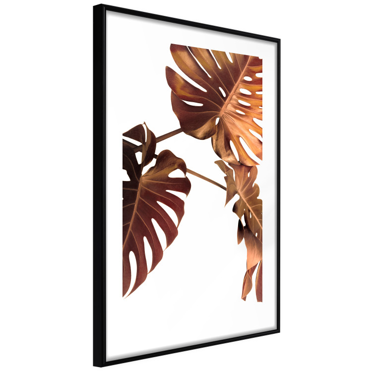 Wall Poster Golden Garden - tropical leaves in copper hue on white background 123770 additionalImage 13