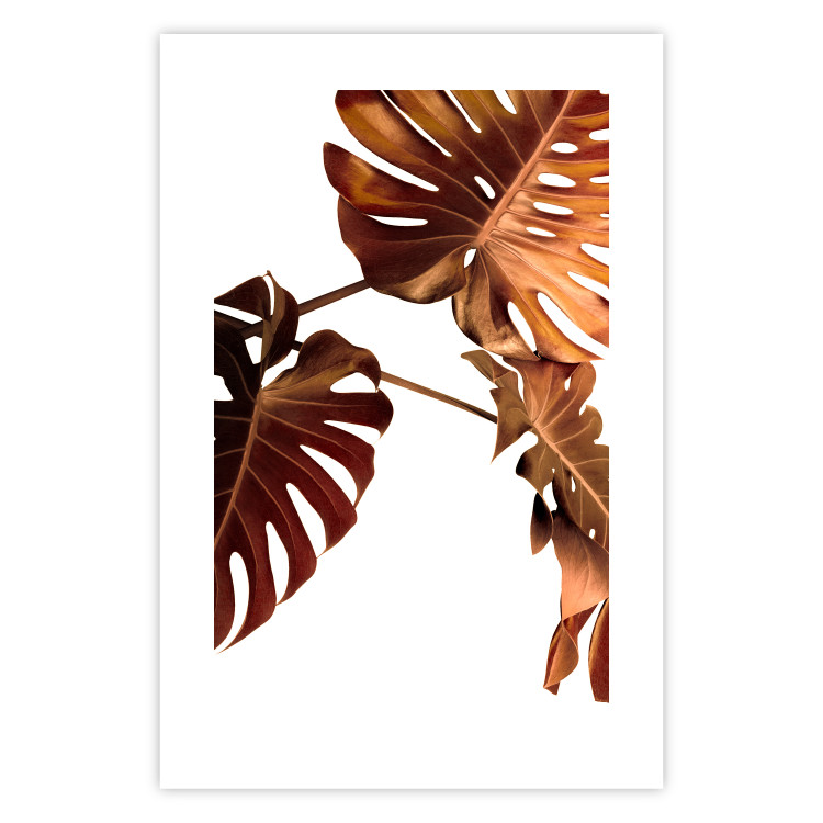 Wall Poster Golden Garden - tropical leaves in copper hue on white background 123770 additionalImage 25