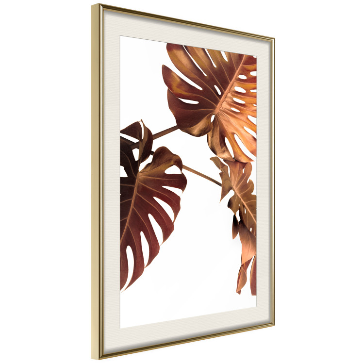 Wall Poster Golden Garden - tropical leaves in copper hue on white background 123770 additionalImage 2
