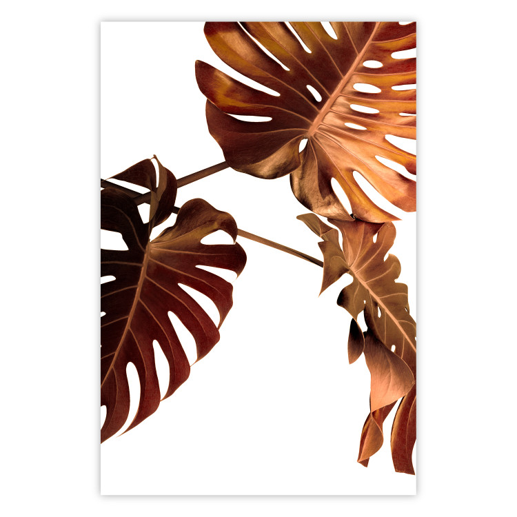 Wall Poster Golden Garden - tropical leaves in copper hue on white background 123770