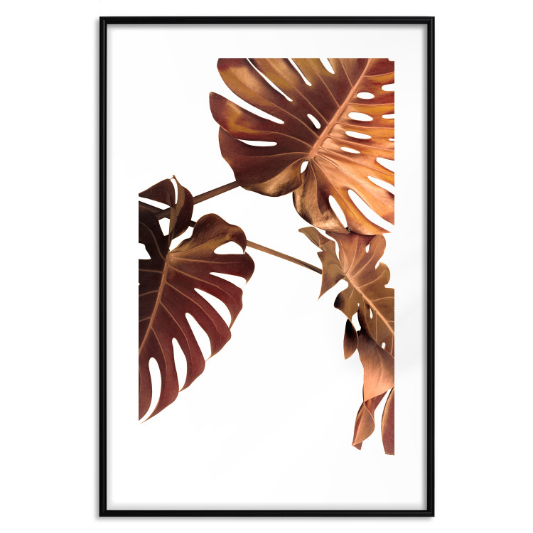 Wall Poster Golden Garden - tropical leaves in copper hue on white background 123770 additionalImage 17