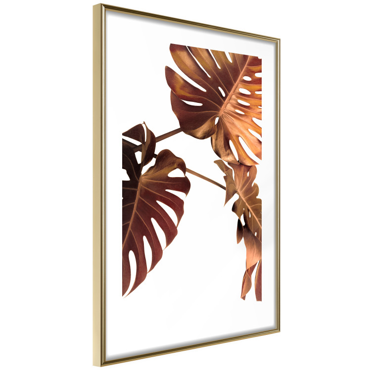 Wall Poster Golden Garden - tropical leaves in copper hue on white background 123770 additionalImage 6