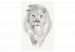 Paint by Number Kit White Lion 127970 additionalThumb 7
