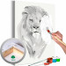Paint by Number Kit White Lion 127970