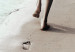 Wall Poster Fleeting Trace - composition with a woman running on a sandy beach 129470 additionalThumb 10