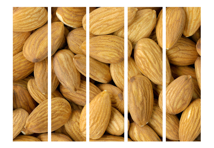 Room Separator Tasty Almonds II (5-piece) - brown design into almond nuts 132770 additionalImage 3