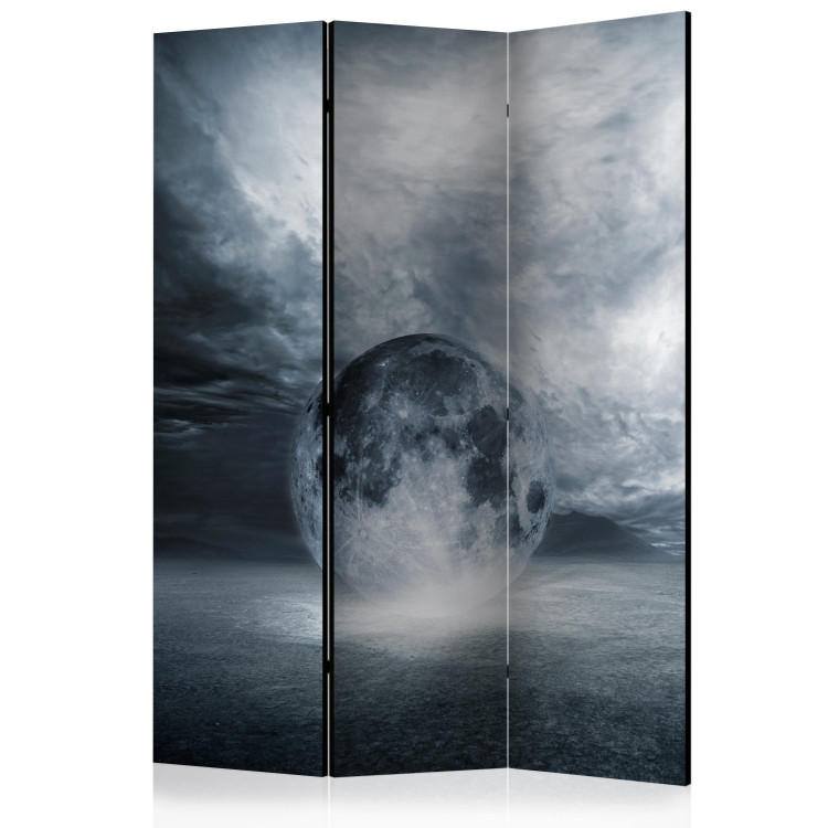 Room Divider Lost Planet (3-piece) - silvery abstraction in space 133270