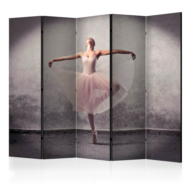 Folding Screen Ballet - Poetry Without Words II (5-piece) - woman dancing on the street 133370