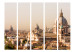 Room Divider Screen Rome - bird's-eye view II - panorama of Italian city architecture 133770 additionalThumb 3