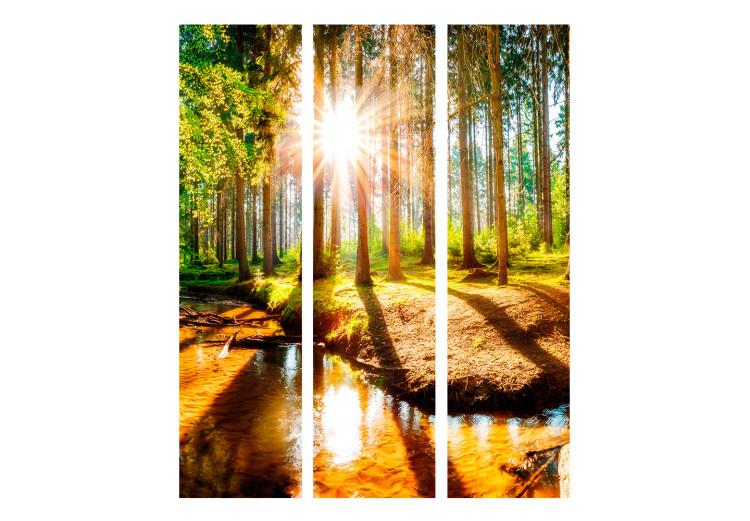 Folding Screen Enchanted Forest - river landscape among forest trees in sunlight 134070 additionalImage 3