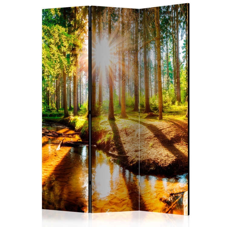 Folding Screen Enchanted Forest - river landscape among forest trees in sunlight 134070