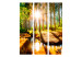 Folding Screen Enchanted Forest - river landscape among forest trees in sunlight 134070 additionalThumb 3