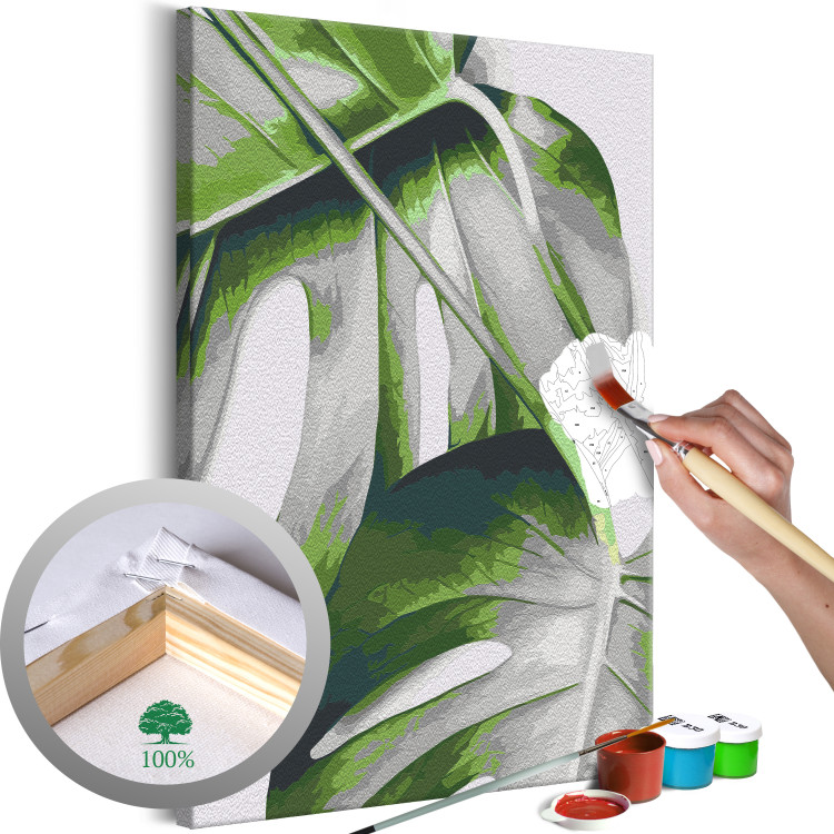 Paint by Number Kit Monstera Leaves 138670