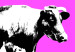 Canvas Print Cows in three colours 55770 additionalThumb 2