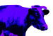 Canvas Print Cows in three colours 55770 additionalThumb 3