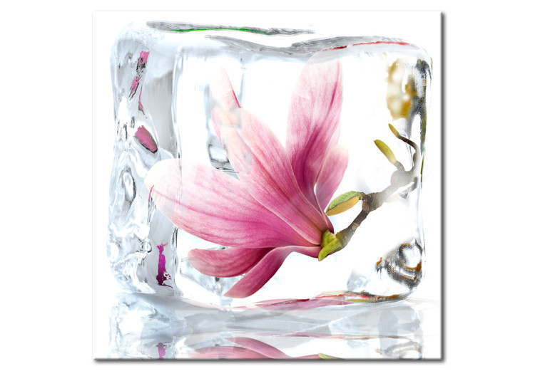 Canvas Frozen magnolia 58770