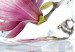 Canvas Frozen magnolia 58770 additionalThumb 4