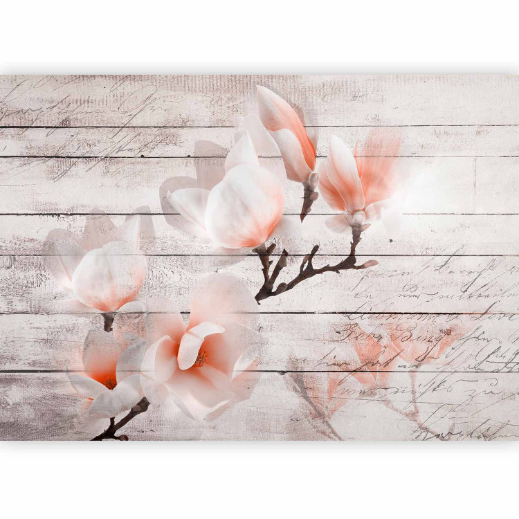 Wall Mural Delicacy of magnolia - orange and white flower against white boards 62470 additionalImage 5