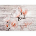 Wall Mural Delicacy of magnolia - orange and white flower against white boards 62470 additionalThumb 5