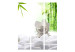Folding Screen Lake of Silence - white stones and orchid flowers against a bamboo and water background 96070 additionalThumb 3