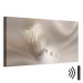 Canvas Print Delicate Feather 97370 additionalThumb 8