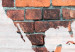 Photo Wallpaper World Map: Brick Wall 97570 additionalThumb 4