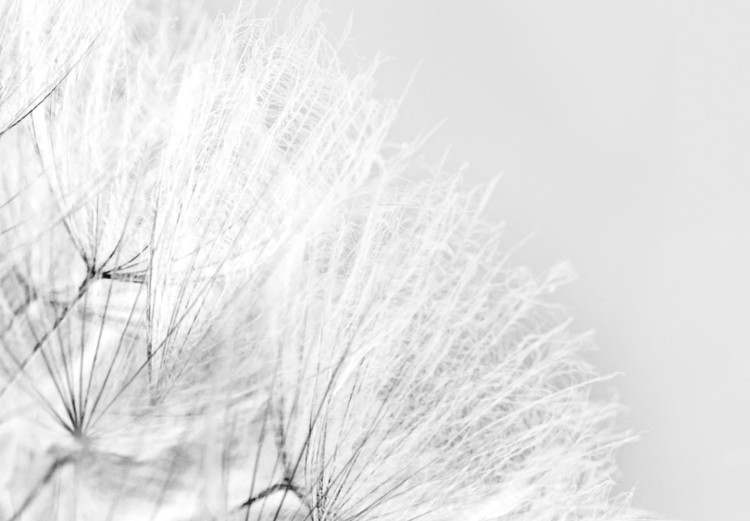Canvas Fluffy Dandelions (4-part) - Flowers in Black and White Colors 107480 additionalImage 4