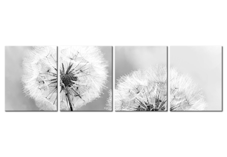 Canvas Fluffy Dandelions (4-part) - Flowers in Black and White Colors 107480