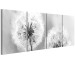 Canvas Fluffy Dandelions (4-part) - Flowers in Black and White Colors 107480 additionalThumb 2