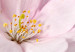 Canvas Flowers on Boards (1 Part) Wide 108080 additionalThumb 5