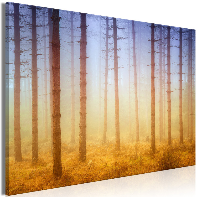 Canvas Trees in the fog - a forest landscape in warm, natural shades 117280 additionalImage 2
