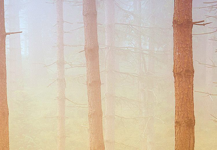 Canvas Trees in the fog - a forest landscape in warm, natural shades 117280 additionalImage 5