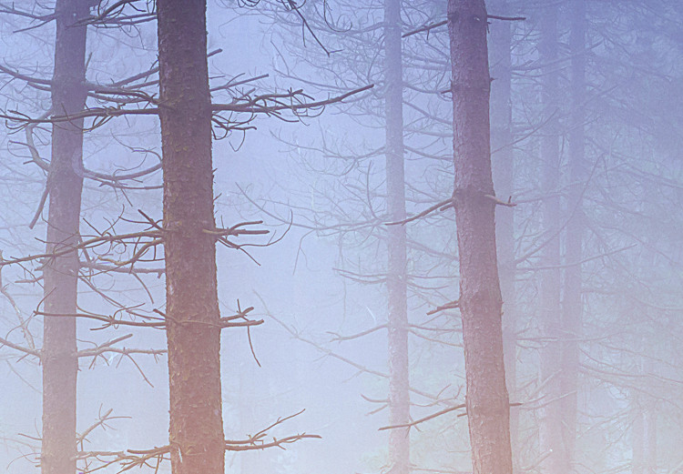 Canvas Trees in the fog - a forest landscape in warm, natural shades 117280 additionalImage 4