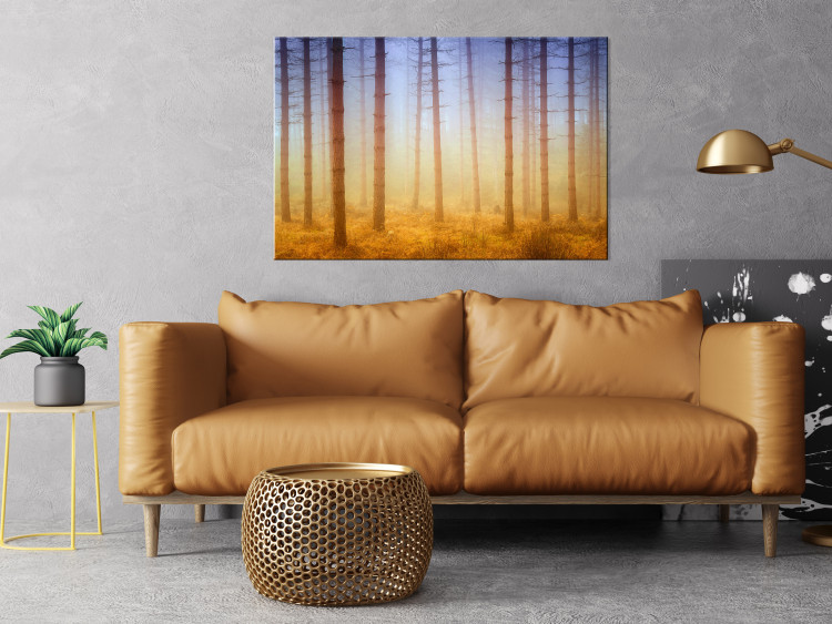 Canvas Trees in the fog - a forest landscape in warm, natural shades 117280 additionalImage 3