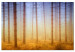 Canvas Trees in the fog - a forest landscape in warm, natural shades 117280