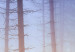 Canvas Trees in the fog - a forest landscape in warm, natural shades 117280 additionalThumb 4