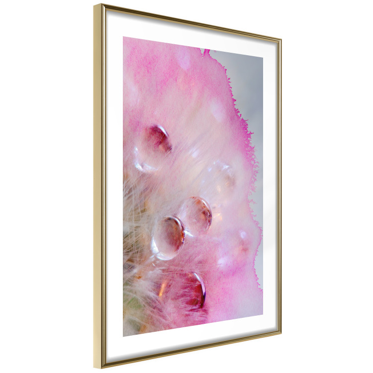 Poster Drops - multicolored abstraction with water droplets on pink watercolors 117880 additionalImage 5