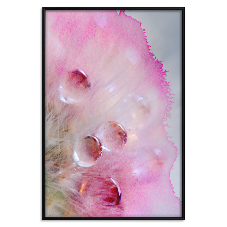 Poster Drops - multicolored abstraction with water droplets on pink watercolors 117880 additionalImage 16