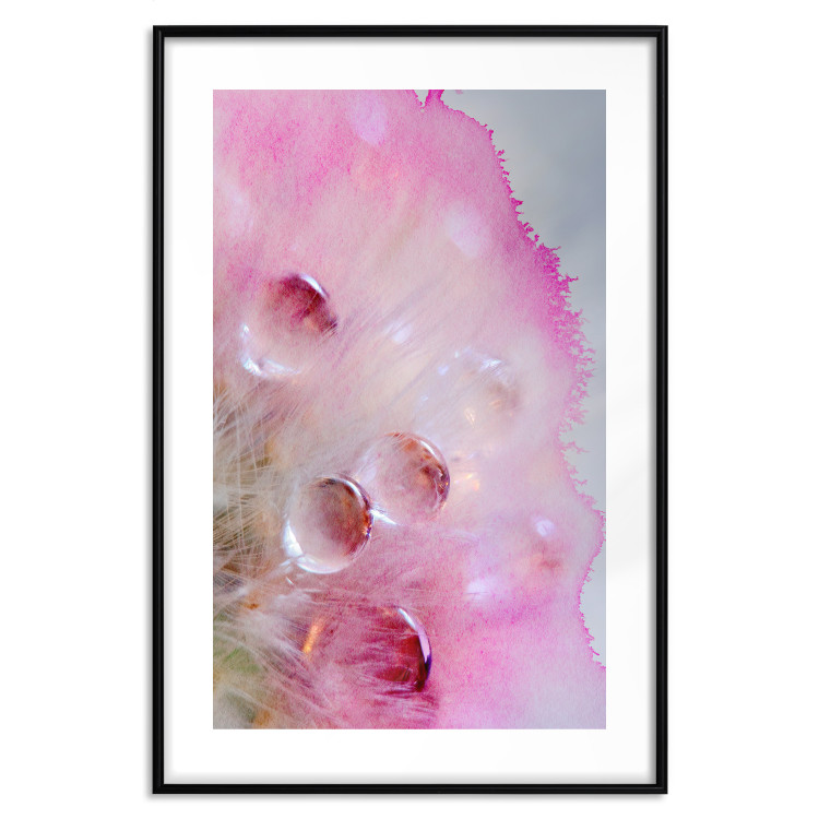 Poster Drops - multicolored abstraction with water droplets on pink watercolors 117880 additionalImage 14