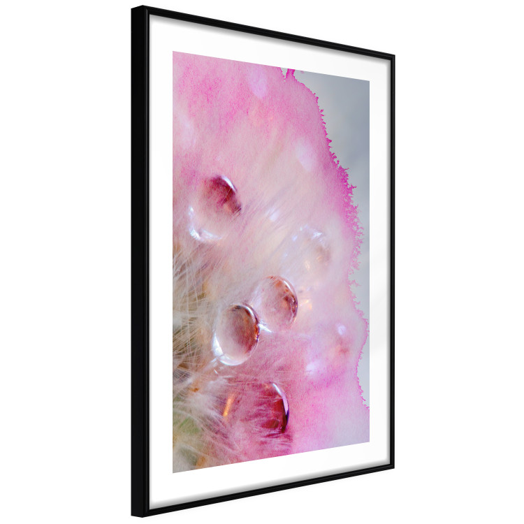 Poster Drops - multicolored abstraction with water droplets on pink watercolors 117880 additionalImage 10