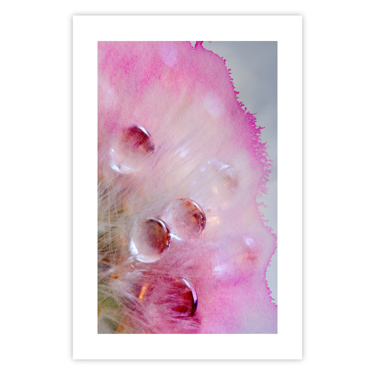 Poster Drops - multicolored abstraction with water droplets on pink watercolors 117880 additionalImage 18