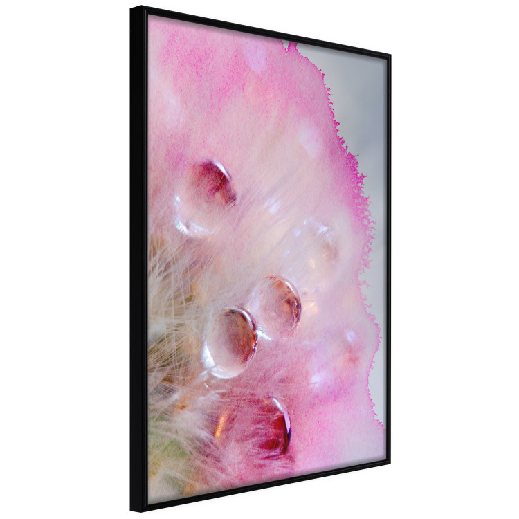 Poster Drops - multicolored abstraction with water droplets on pink watercolors 117880 additionalImage 9