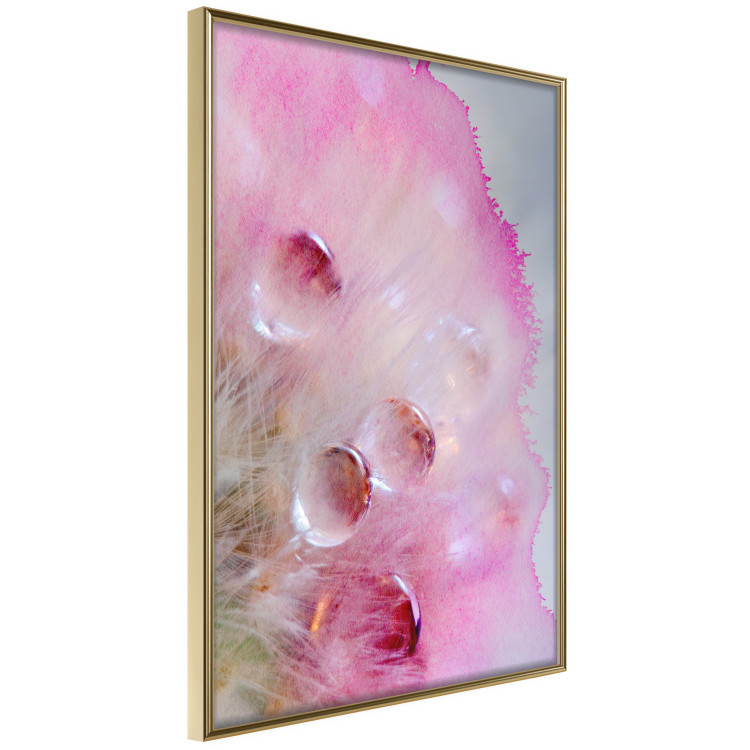 Poster Drops - multicolored abstraction with water droplets on pink watercolors 117880 additionalImage 11
