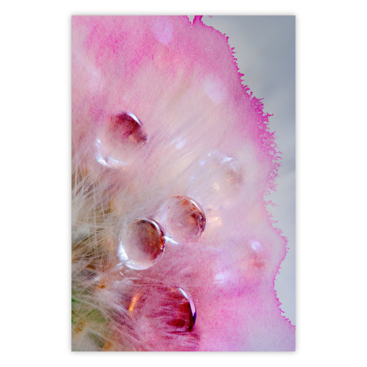 Poster Drops - multicolored abstraction with water droplets on pink watercolors 117880