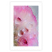 Poster Drops - multicolored abstraction with water droplets on pink watercolors 117880 additionalThumb 18