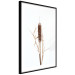 Poster Swamp Queen - autumn composition with aquatic plant on a white background 119180 additionalThumb 11