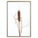 Poster Swamp Queen - autumn composition with aquatic plant on a white background 119180 additionalThumb 17