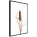 Poster Swamp Queen - autumn composition with aquatic plant on a white background 119180 additionalThumb 10