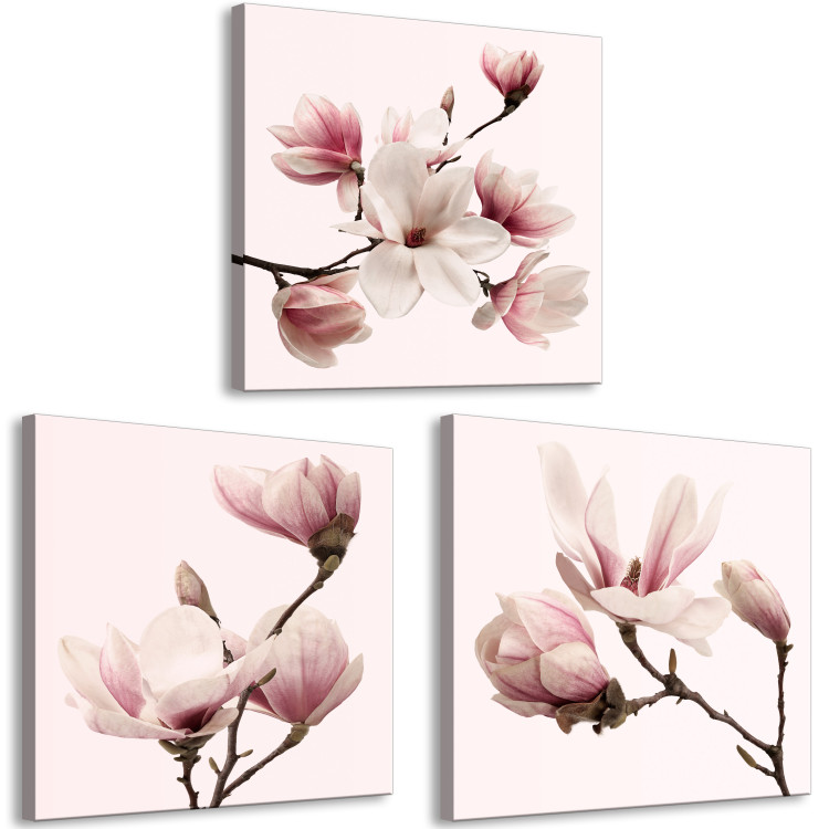 Canvas Pink Spectrum of Nature (3-part) - Delicate Magnolia Blossom 122780 additionalImage 2